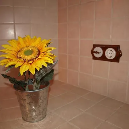 Rurales Camino Del Cid Appartamento