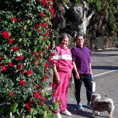 Rurales Camino Del Cid Apartment *