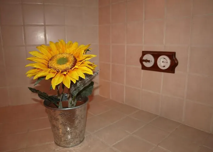 Rurales Camino Del Cid Lägenhet